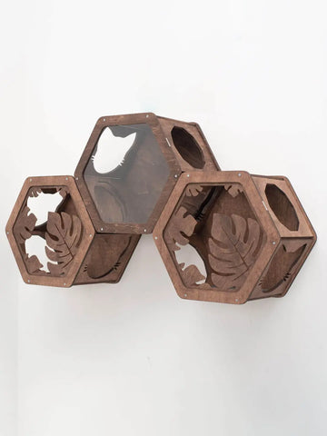 cat shelves hexagon