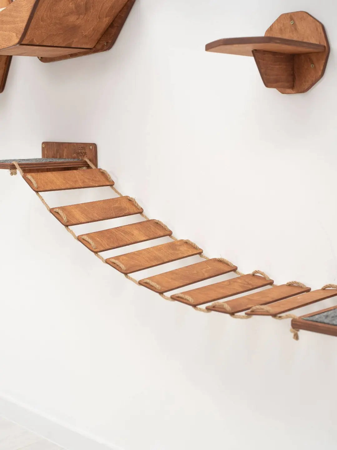 cat rope bridge