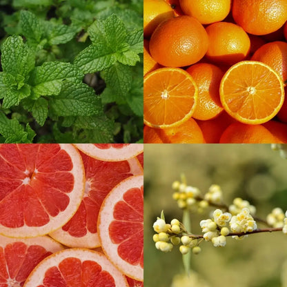 Cocooning Biocosmetics - Shower Tablets MORNING ZEST - Refresh Your Day with Citrus Bliss 🌞🍊