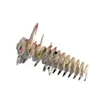 3D Bastelset Raptor (MQ6)