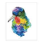 Diamond Painting Regenbogen Vogel