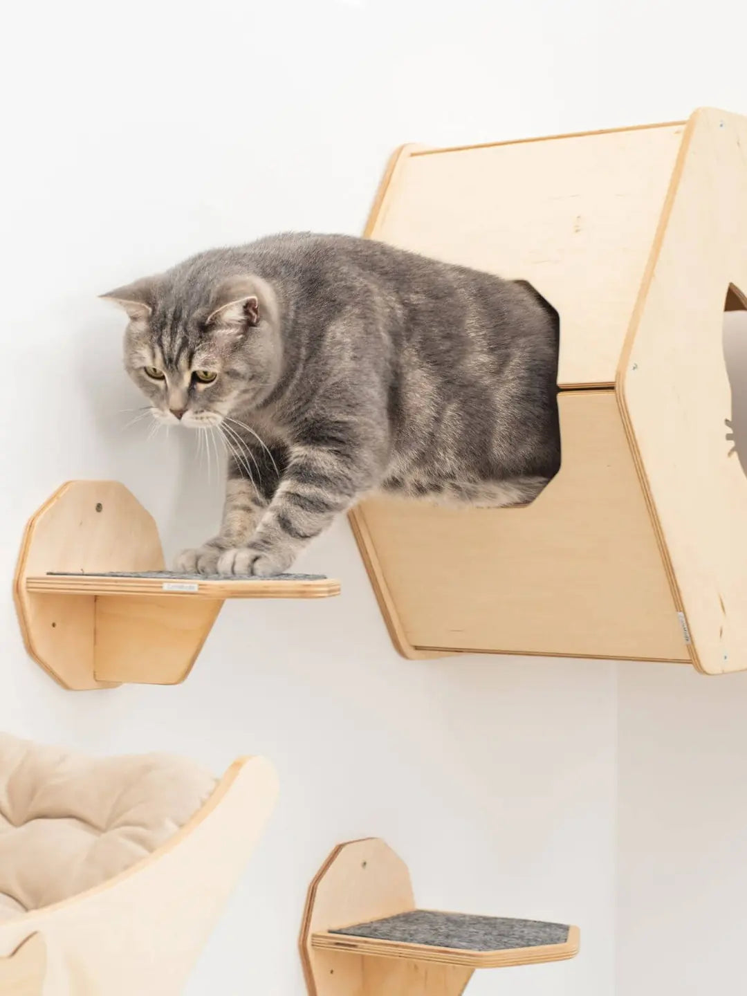 wood cat stairs