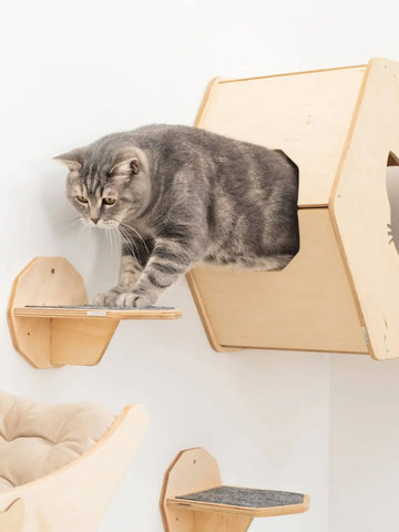 wood cat stairs