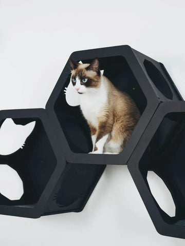 wood cat shelves