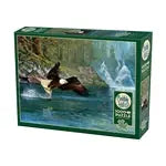 Weisskopfseeadler 1000 Teile