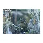 3D Bastelset Drache (MQ6)