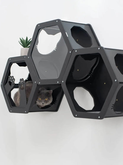 hexagon cat wall shelves
