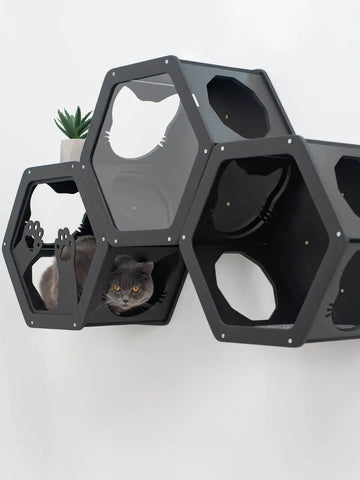hexagon cat wall shelves