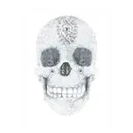 Diamond Painting Kristallschädel