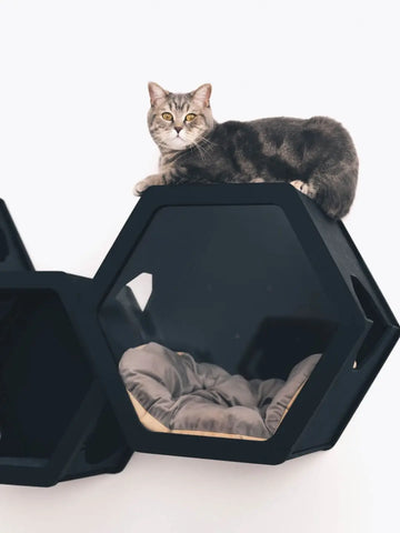 pillow for cats house