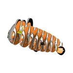 3D Bastelset Clownfisch (MQ6)