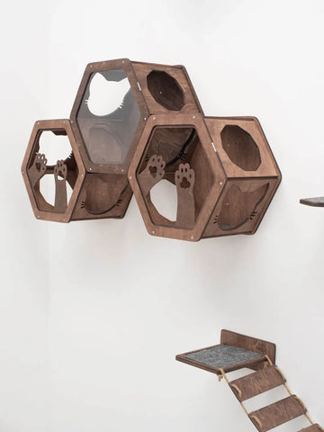 cat hexagon shelf
