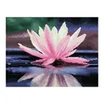 Diamond Painting Seerose