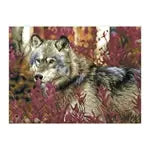 Diamond Painting Wolf