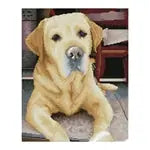 Diamond Painting Labrador