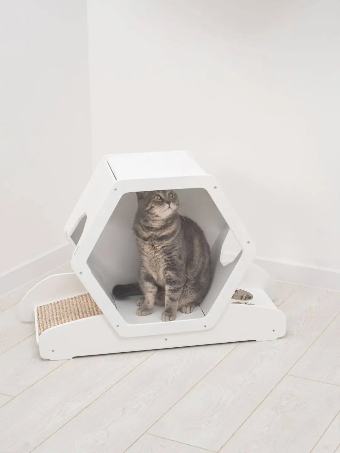 cat feeding bowls on stand