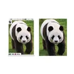 Panda 1000 Teile