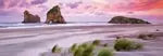 Wharariki Beach Panorama 1000 Teile