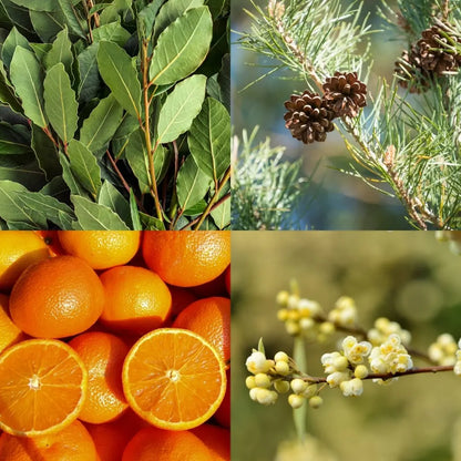 Cocooning Biocosmetics - Shower Galets MOOD BOOST - Refresh Your Senses! 🌈✨