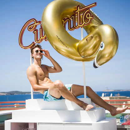 Swim Essentials | Schwimmring 95cm | Gold Swan