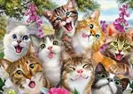 Katzen Selfie 500 Teile