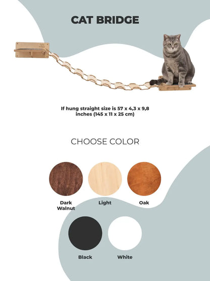 cat bridges