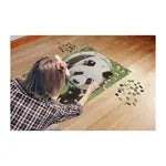 Panda 1000 Teile