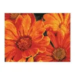 Diamond Painting Mittagsblume
