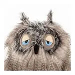 Miss Night Owl Kikeriki 27cm