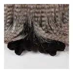 Miss Night Owl Kikeriki 27cm