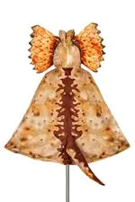 Cape Dilophosaurus, 104-122cm