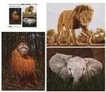 Wildtiere 3x1000 Teile (Donal Boyd)