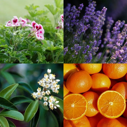 Cocooning Biocosmetics - Shower Galets PURE LOVE - Pamper Yourself with Blissful Fragrance 💖🛁