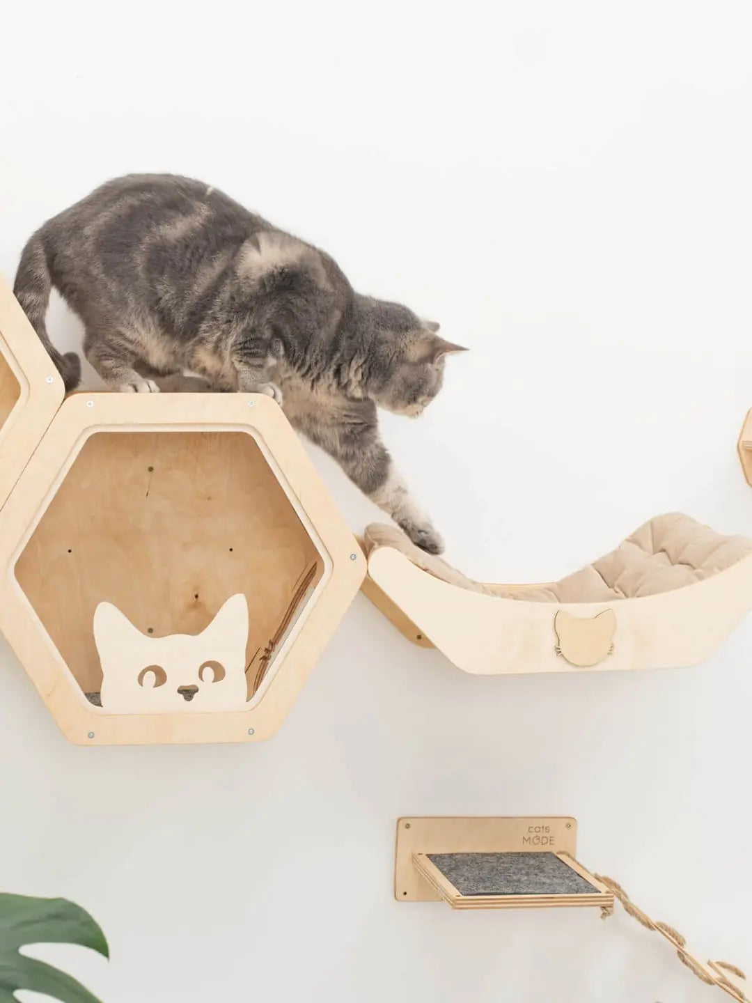 curved floating cat shelf
