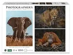 Wildtiere Blickkontakt 3x1000 Teile (Donal Boyd)