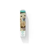 Diamond Painting Labrador