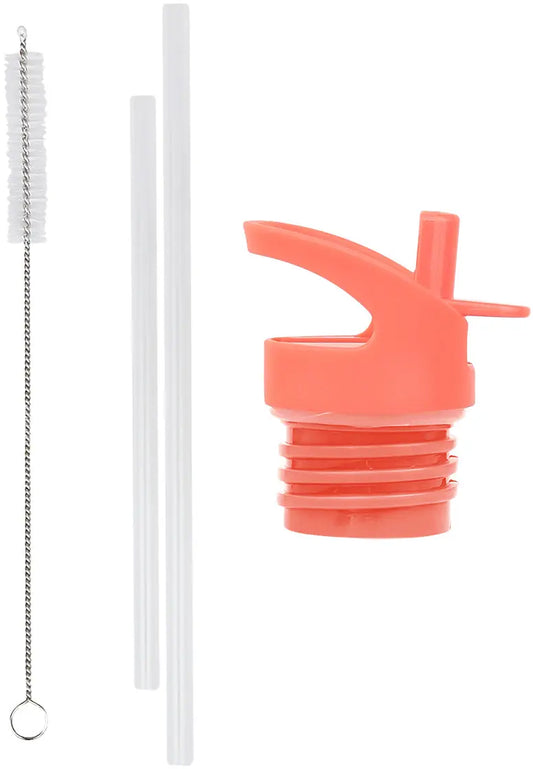 ALLC Set für Trinkflasche DBSSRE85 Deckel, Strohhalm, Bürste