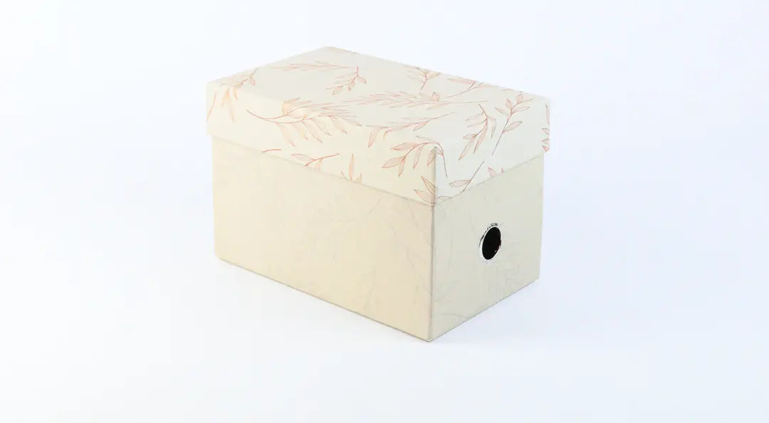 ANCOR Multibox ECOLOGIQUE 100983 small