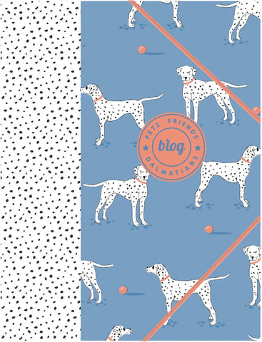 ANCOR Gummibandmappe A4 105438 PET FRIENDS blau