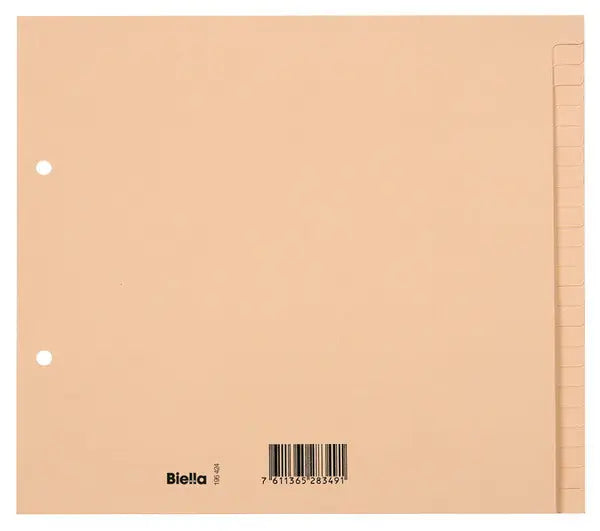 BIELLA Kartonregister A4 19542400U braun blanko 24-teilig