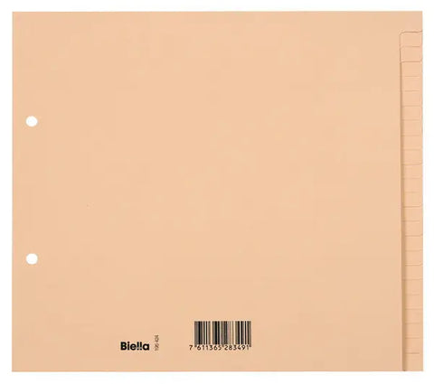 BIELLA Kartonregister A4 19542400U braun blanko 24-teilig