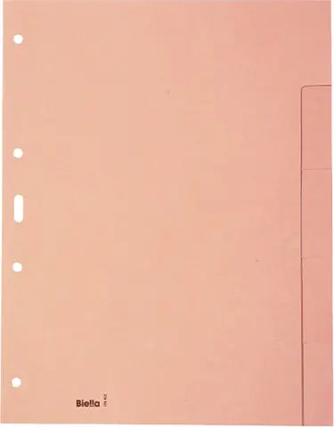 BIELLA Kartonregister A4 19640500U braun blanko 5-teilig