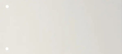 BIELLA Trennstreifen Karton 2 Loch 19919001U weiss, 24x10.5cm 100 Stk.
