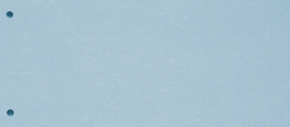 BIELLA Trennstreifen Karton 2 Loch 19919005U blau, 24x10.5cm 100 Stk.