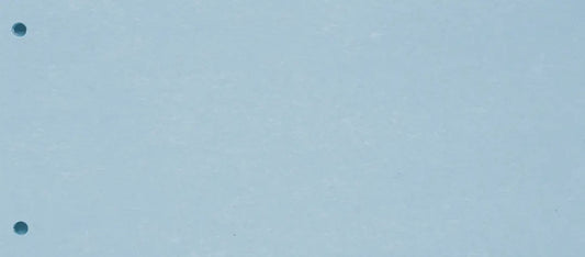 BIELLA Trennstreifen Karton 2 Loch 19919005U blau, 24x10.5cm 100 Stk.