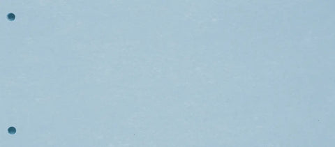 BIELLA Trennstreifen Karton 2 Loch 19919005U blau, 24x10.5cm 100 Stk.