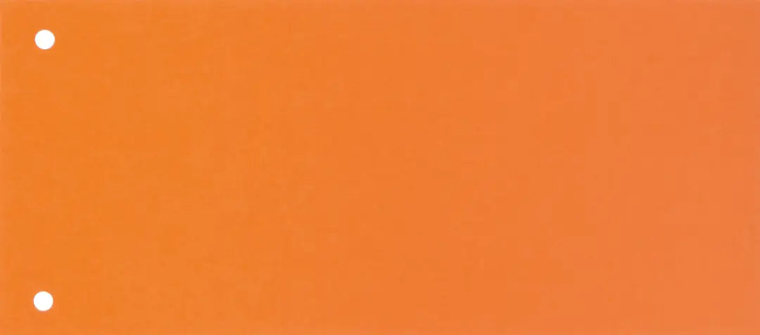 BIELLA Trennstreifen Karton 2 Loch 19919035U orange, 24x10.5cm 100 Stk.