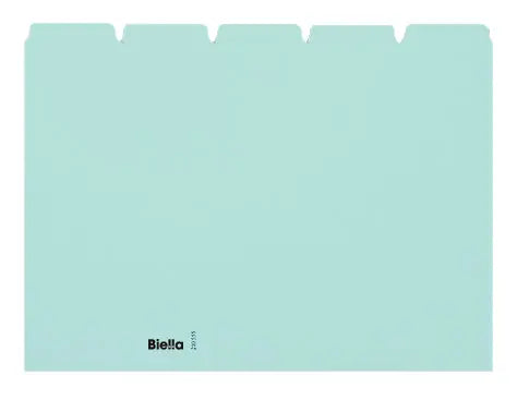 BIELLA Kartei-Leitkarten blanko A5 21055505U blau 25-teilig