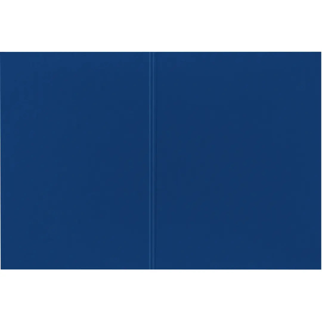 BIELLA Vertikalmappe Recycolor 25342705U 32x23,3/24,3cm, blau 100 St.
