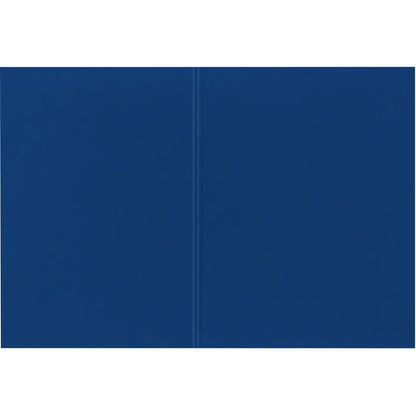BIELLA Vertikalmappe Recycolor 25342705U 32x23,3/24,3cm, blau 100 St.